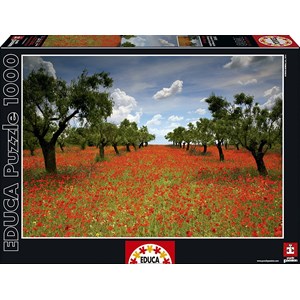 Educa (15992) - "Poppy Field" - 1000 pezzi