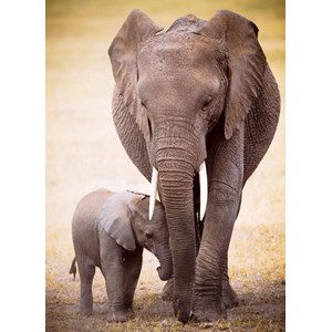 Eurographics (6000-0270) - "Elephant & Baby" - 1000 pezzi