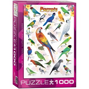 Eurographics (6000-0126) - "Parrots" - 1000 pezzi
