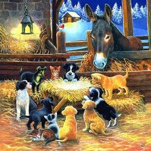 SunsOut (39535) - Chrissie Snelling: "Barnyard Nativity" - 500 pezzi