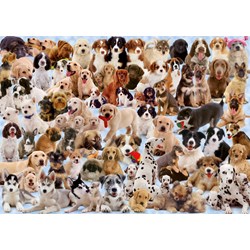Ravensburger (15633) - "Dogs Galore!" - 1000 pezzi
