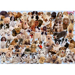 Ravensburger (15633) - "Dogs Galore!" - 1000 pezzi