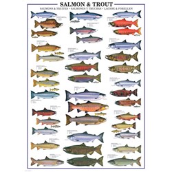 Eurographics (6000-0311) - "Salmon & Trout" - 1000 pezzi