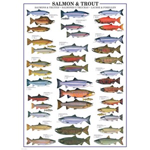 Eurographics (6000-0311) - "Salmon & Trout" - 1000 pezzi