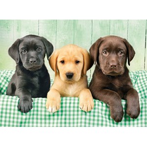 Clementoni (39279) - Greg Cuddiford: "Three Labs" - 1000 pezzi