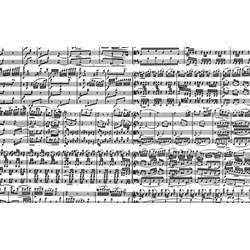 Piatnik (543449) - "Musical Notes" - 1000 pezzi