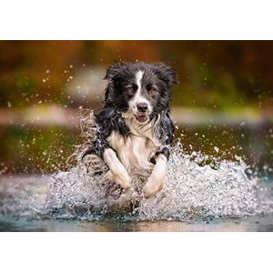 Castorland (B-52424) - "Taste of Freedom" - 500 pezzi