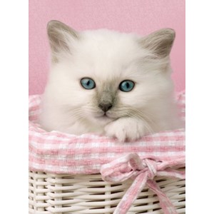 Clementoni (30391) - "Sweet Eyes" - 500 pezzi