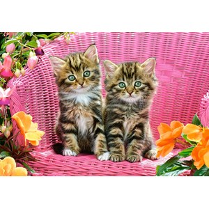 Castorland (C-103775) - "Kittens on Garden Chair" - 1000 pezzi