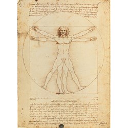 Clementoni (35001) - Leonardo Da Vinci: "Vitruvian Man" - 500 pezzi