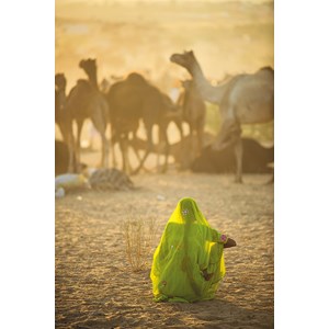 Clementoni (39302) - "Indian Woman" - 1000 pezzi