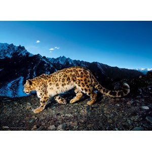 Clementoni (39376) - "Snow Leopard" - 1000 pezzi