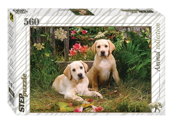 Step Puzzle (78076) - "Labrador Puppies" - 560 pezzi