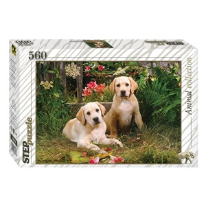 Step Puzzle (78076) - "Labrador Puppies" - 560 pezzi