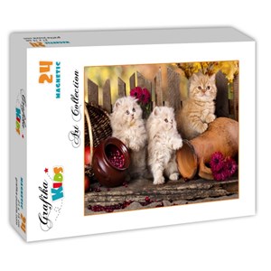Grafika Kids (00322) - "Persian kittens" - 24 pezzi