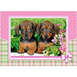 Castorland (13142) - "Dachshund Puppies" - 120 pezzi