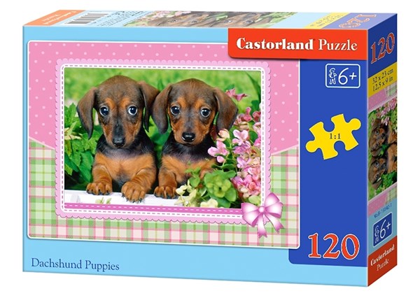 Castorland (13142) - "Dachshund Puppies" - 120 pezzi
