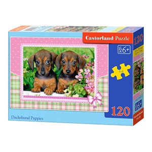 Castorland (13142) - "Dachshund Puppies" - 120 pezzi