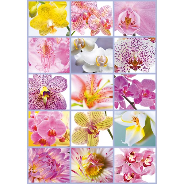 Educa (16302) - "Collage of Flowers" - 1500 pezzi