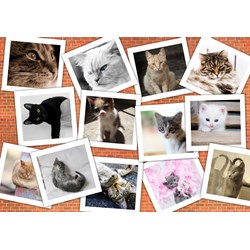 Grafika (02213) - "Cats" - 1000 pezzi