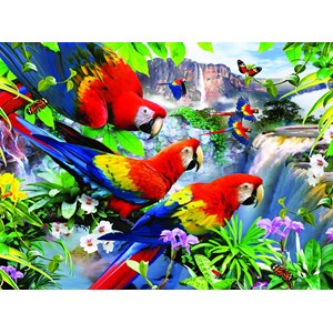 Ravensburger (13534) - Howard Robinson: "Tropical Birds" - 300 pezzi