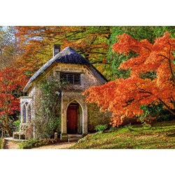 Castorland (B-52806) - "Gothic House in Autumn" - 500 pezzi