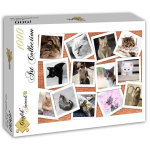 Grafika (T-00381) - "Cats" - 1000 pezzi