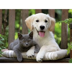 Ravensburger (14234) - "Friendly Opposites" - 500 pezzi