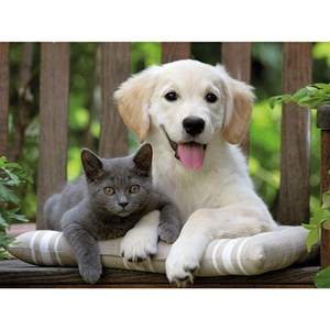 Ravensburger (14234) - "Friendly Opposites" - 500 pezzi