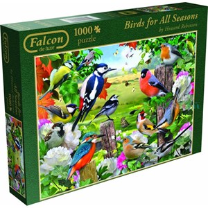 Falcon (11025) - "Birds for all Seasons" - 1000 pezzi