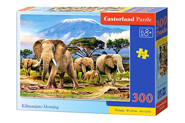 Castorland (B-030019) - "Kilimanjaro Morning" - 300 pezzi