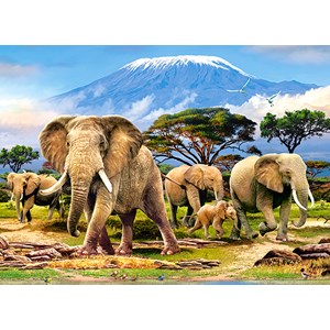 Castorland (B-030019) - "Kilimanjaro Morning" - 300 pezzi