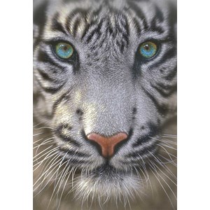Educa (15971) - "White Tiger" - 500 pezzi