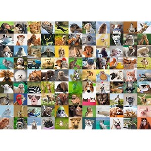 Ravensburger (19642) - "99 Funny Animals" - 1000 pezzi