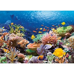 Castorland (C-101511) - "Coral Reef" - 1000 pezzi