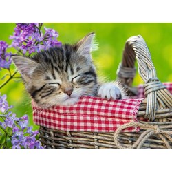 Ravensburger (10539) - "Sleeping Kitten" - 100 pezzi