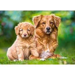 Castorland (13265) - "Always Together" - 120 pezzi