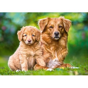 Castorland (13265) - "Always Together" - 120 pezzi