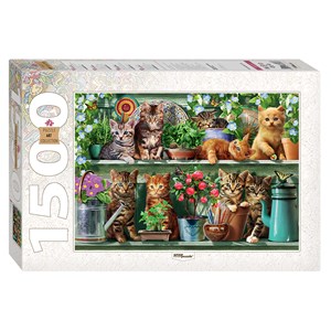 Step Puzzle (83057) - "Kittens in the Shelf" - 1500 pezzi